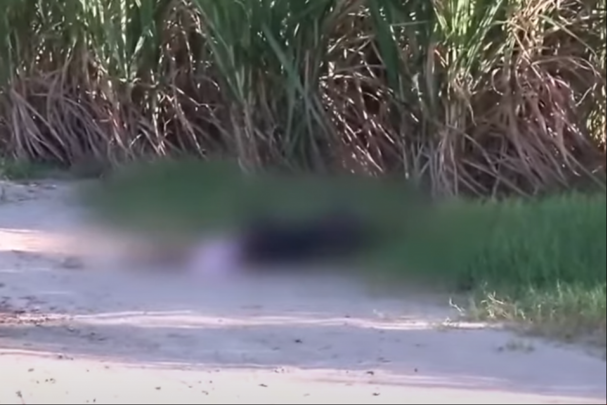 De acordo com a Polícia Militar, o cadáver foi descoberto por um vigilante.